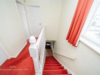 Picture 17